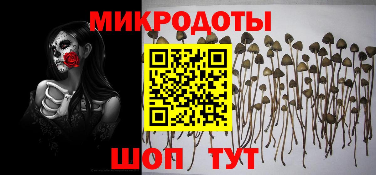 Новочеркасск  Галлюциногенные грибы MAGIC MUSHROOMS  Вход с VPN 